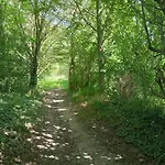 Het Geluk Limburg Bed & Breakfast Mechelen