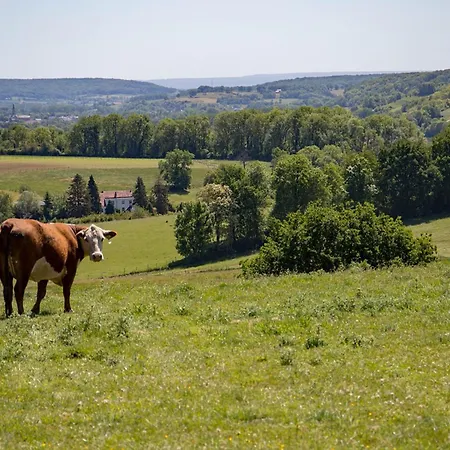 Het Geluk Limburg Nocleg ze śniadaniem Mechelen