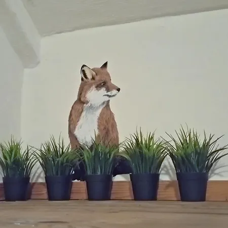 Couette-café Het Geluk Limburg Malines