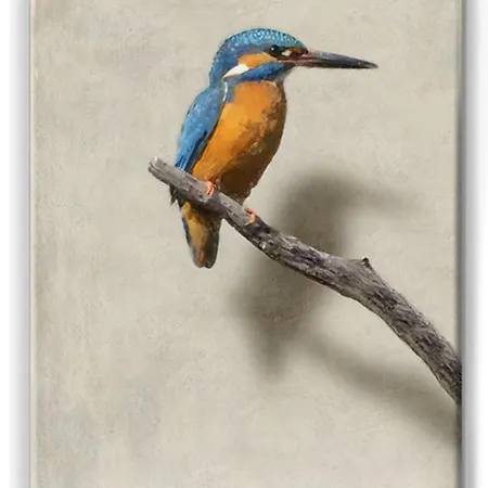 Het Geluk Limburg Malines