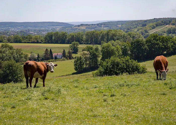 Het Geluk Limburg Frühstückspension Mechelen