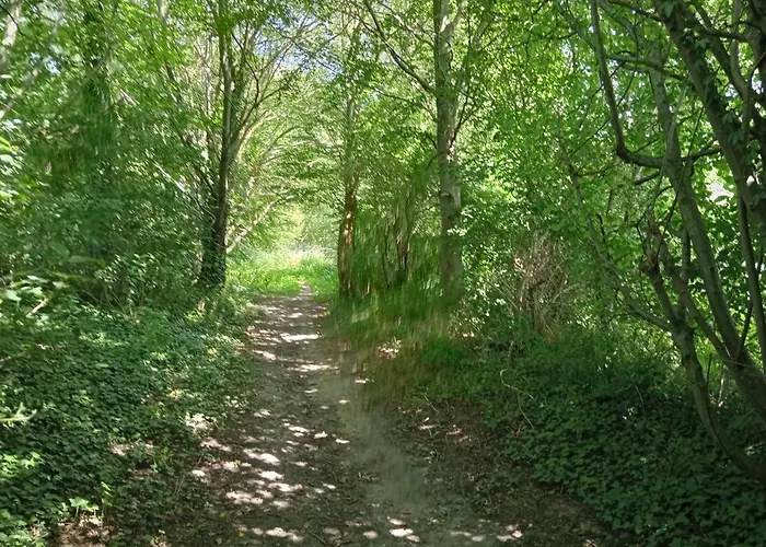 Het Geluk Limburg Frühstückspension Mechelen